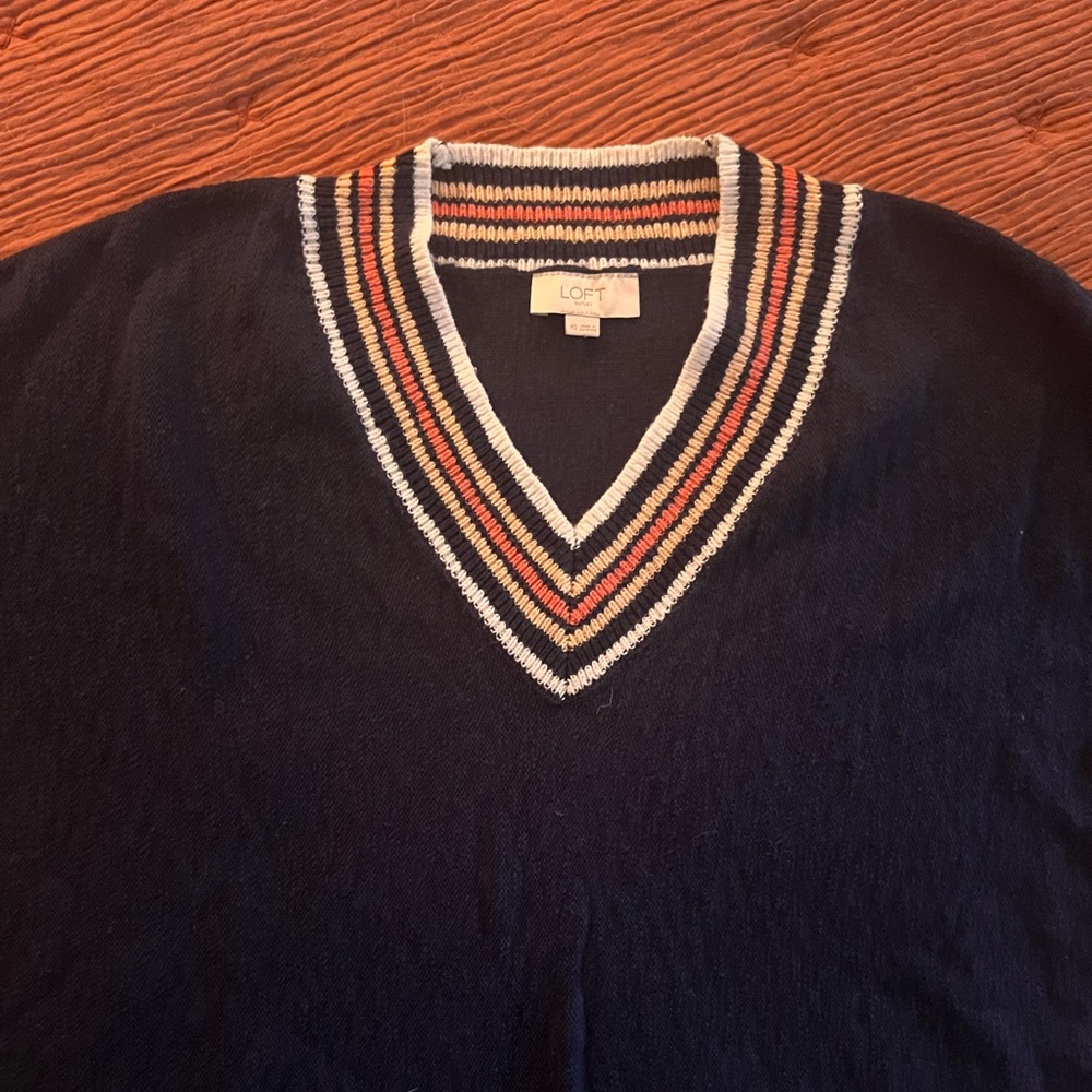 Loft V neck sweater